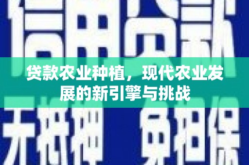 全国贷款农业种植，现代农业发展的新引擎与挑战