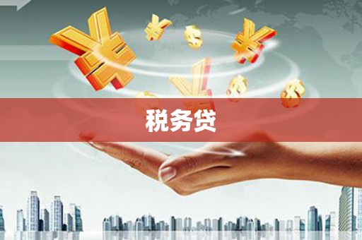 全国税务贷