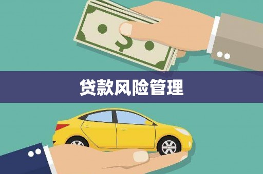 全国贷款风险管理