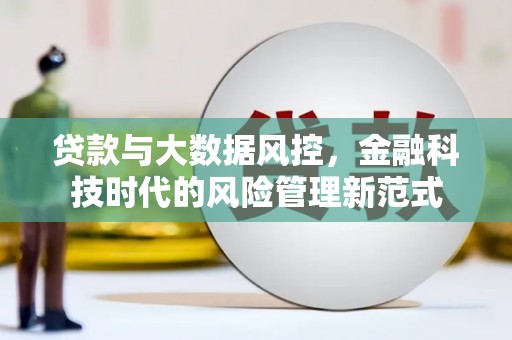 全国贷款与大数据风控，金融科技时代的风险管理新范式