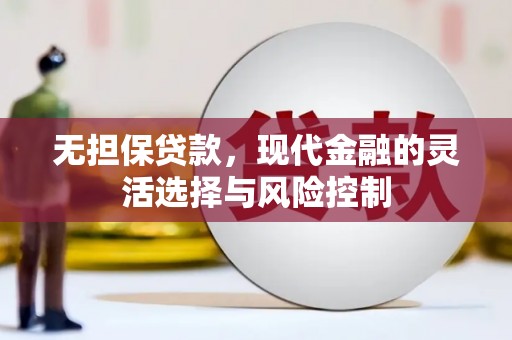 全国无担保贷款，现代金融的灵活选择与风险控制