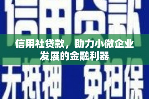 全国信用社贷款，助力小微企业发展的金融利器