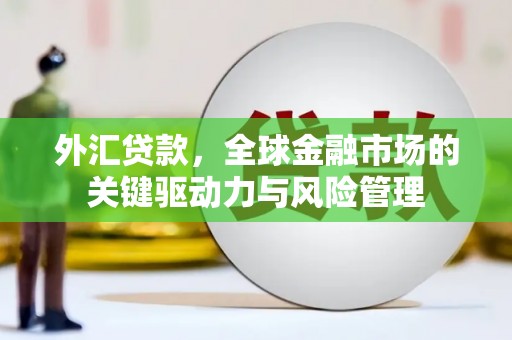 全国外汇贷款，全球金融市场的关键驱动力与风险管理