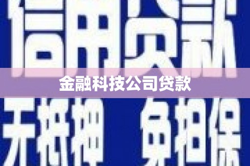 全国金融科技公司贷款