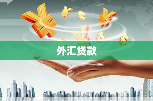 全国外汇贷款