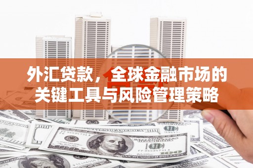 全国外汇贷款，全球金融市场的关键工具与风险管理策略