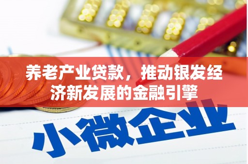 全国养老产业贷款，推动银发经济新发展的金融引擎