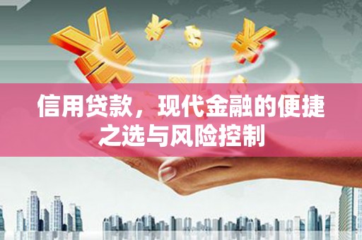 全国信用贷款，现代金融的便捷之选与风险控制