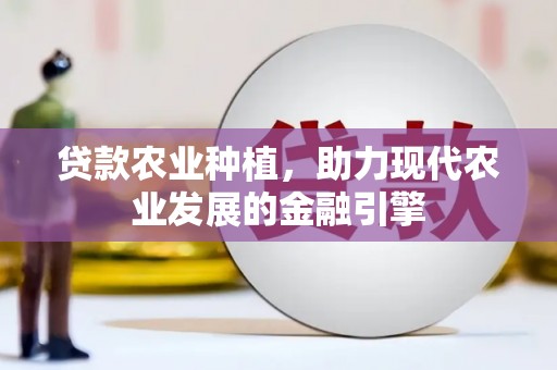 全国贷款农业种植，助力现代农业发展的金融引擎