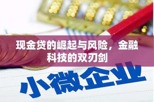 全国现金贷的崛起与风险，金融科技的双刃剑