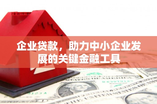 全国企业贷款，助力中小企业发展的关键金融工具