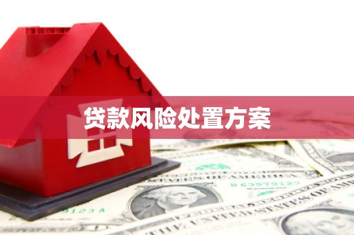 全国贷款风险处置方案