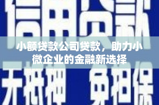 全国小额贷款公司贷款，助力小微企业的金融新选择