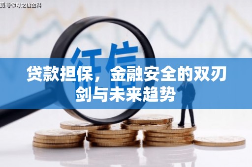 全国贷款担保，金融安全的双刃剑与未来趋势