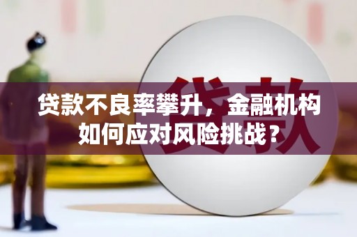 全国贷款不良率攀升，金融机构如何应对风险挑战？