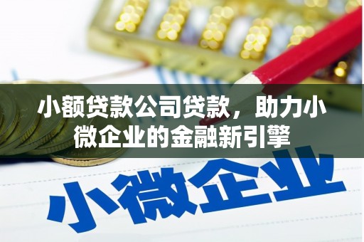全国小额贷款公司贷款，助力小微企业的金融新引擎