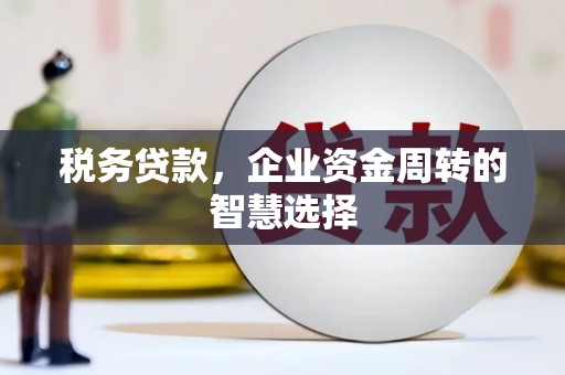 全国税务贷款，企业资金周转的智慧选择