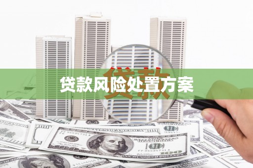 全国贷款风险处置方案