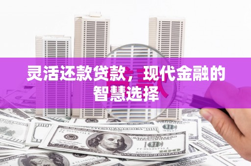 全国灵活还款贷款，现代金融的智慧选择