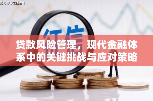 全国贷款风险管理，现代金融体系中的关键挑战与应对策略