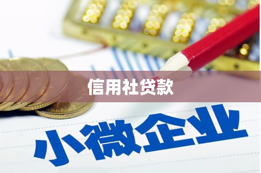 全国信用社贷款