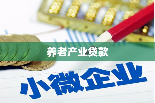 全国养老产业贷款