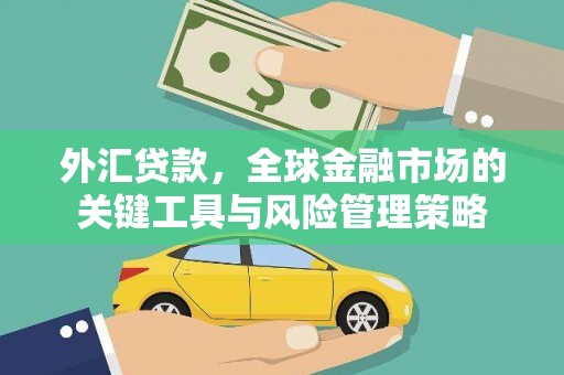 全国外汇贷款，全球金融市场的关键工具与风险管理策略