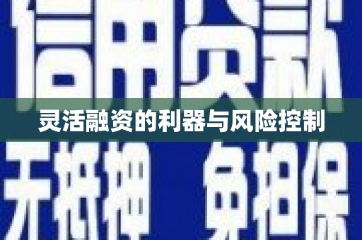 全国灵活融资的利器与风险控制