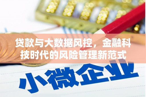 全国贷款与大数据风控，金融科技时代的风险管理新范式