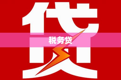全国税务贷