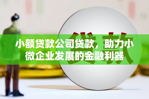 全国小额贷款公司贷款，助力小微企业发展的金融利器