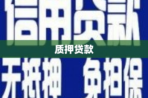 全国质押贷款