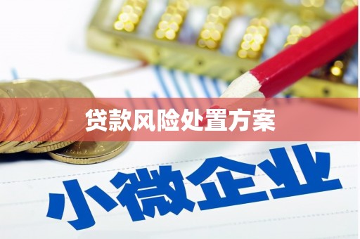 全国贷款风险处置方案