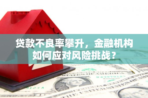 全国贷款不良率攀升，金融机构如何应对风险挑战？