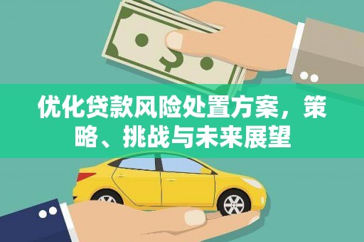 全国优化贷款风险处置方案，策略、挑战与未来展望