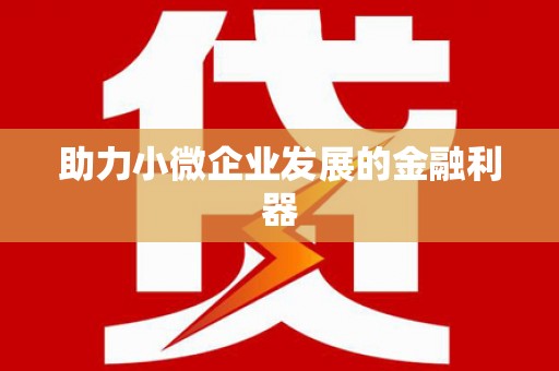 全国助力小微企业发展的金融利器