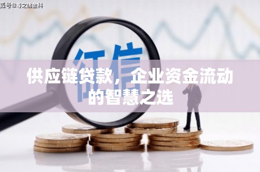 全国供应链贷款，企业资金流动的智慧之选