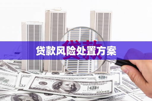 全国贷款风险处置方案