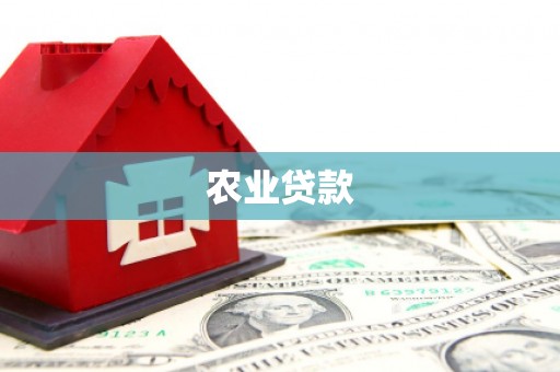全国农业贷款