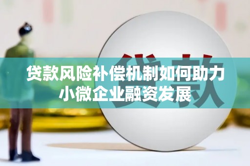 全国贷款风险补偿机制如何助力小微企业融资发展
