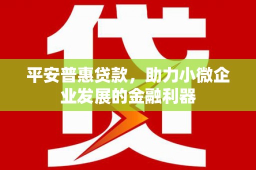 全国平安普惠贷款，助力小微企业发展的金融利器