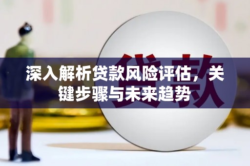 全国深入解析贷款风险评估，关键步骤与未来趋势