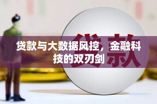 全国贷款与大数据风控，金融科技的双刃剑