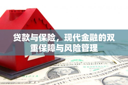 全国贷款与保险，现代金融的双重保障与风险管理