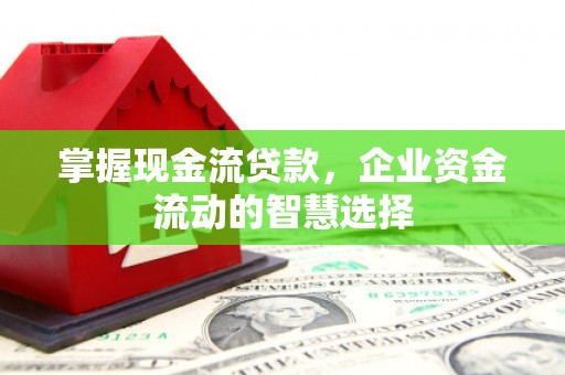 全国掌握现金流贷款，企业资金流动的智慧选择
