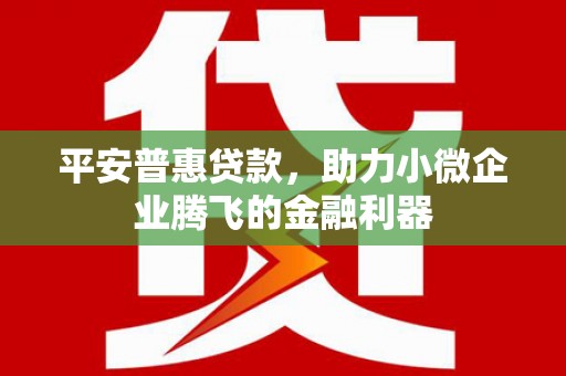 全国平安普惠贷款，助力小微企业腾飞的金融利器