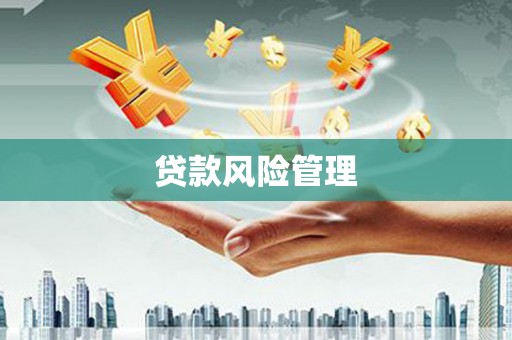 全国贷款风险管理