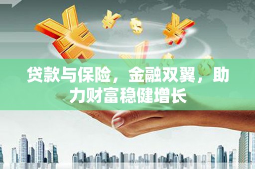 全国贷款与保险，金融双翼，助力财富稳健增长