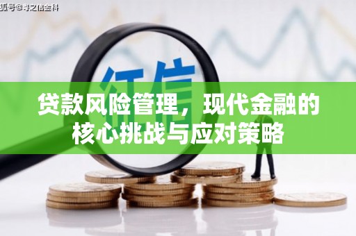 全国贷款风险管理，现代金融的核心挑战与应对策略