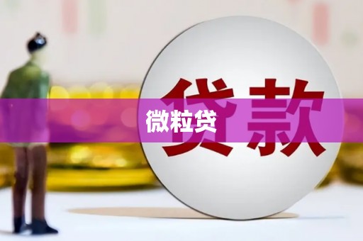 全国微粒贷